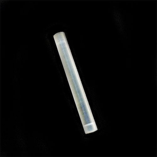 Endoscope Rod Lens