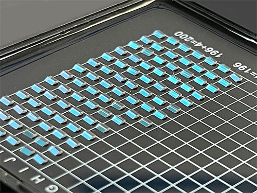 Progress of Microlens and Microprism Technology in the Field of Medical Endoscopy