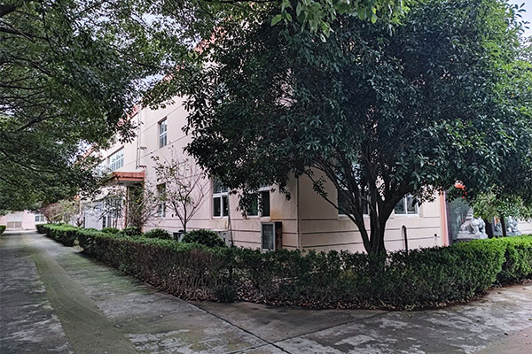 1768203482261372.jpg 1.jpg